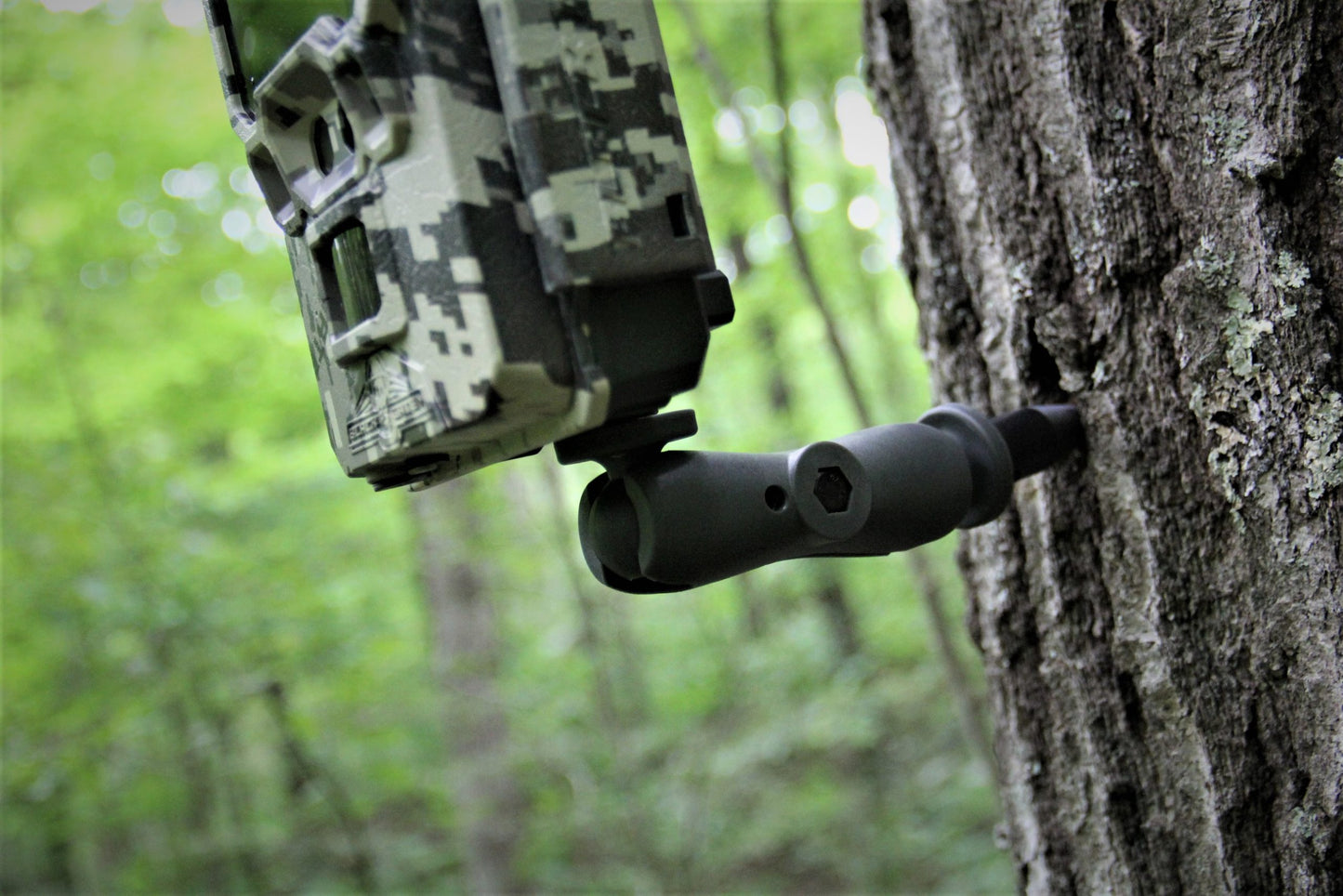 Tree Camera Mount